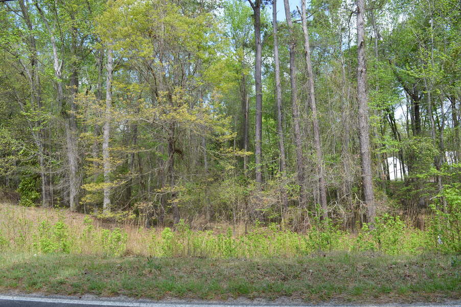 2120 Tickle Hill Road      0.92 acre